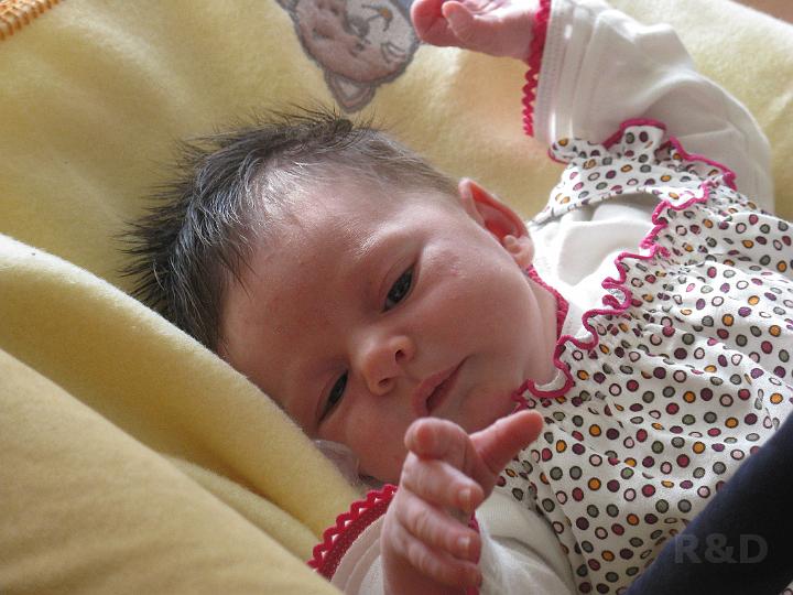 Yente 26 maart 2009 (7).JPG